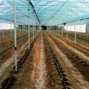 Dome Roof  NET HOUSE - DRNH