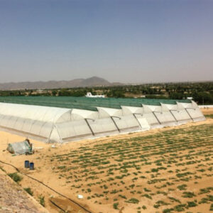 Naturally ventilated  POLY HOUSE - NVPH